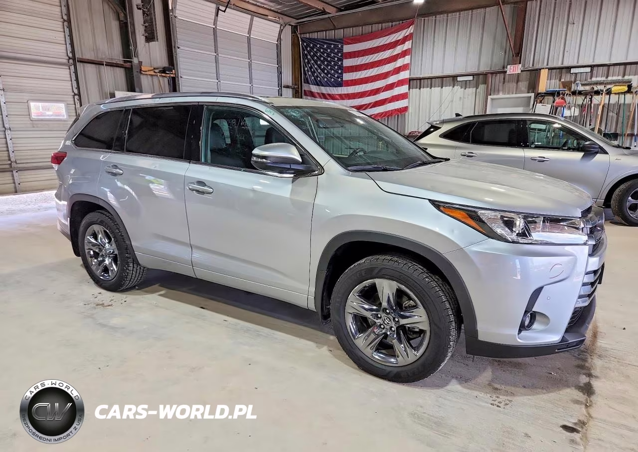 2019 Toyota Highlander Limited Platinum VIN:5TDDZRFH7KS737494 - 4