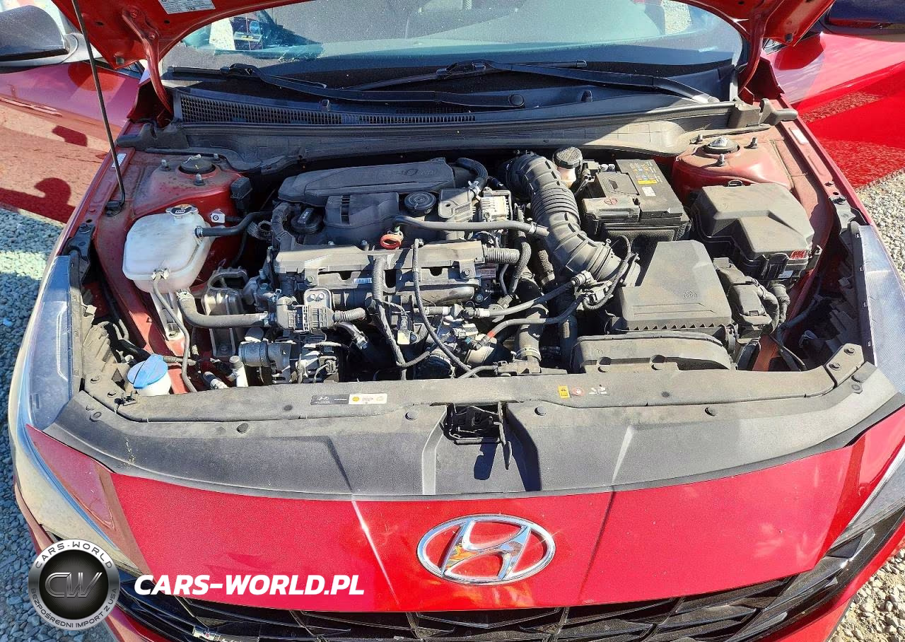 2023 Hyundai Elantra N Line VIN:KMHLR4AF7PU380675 - 11