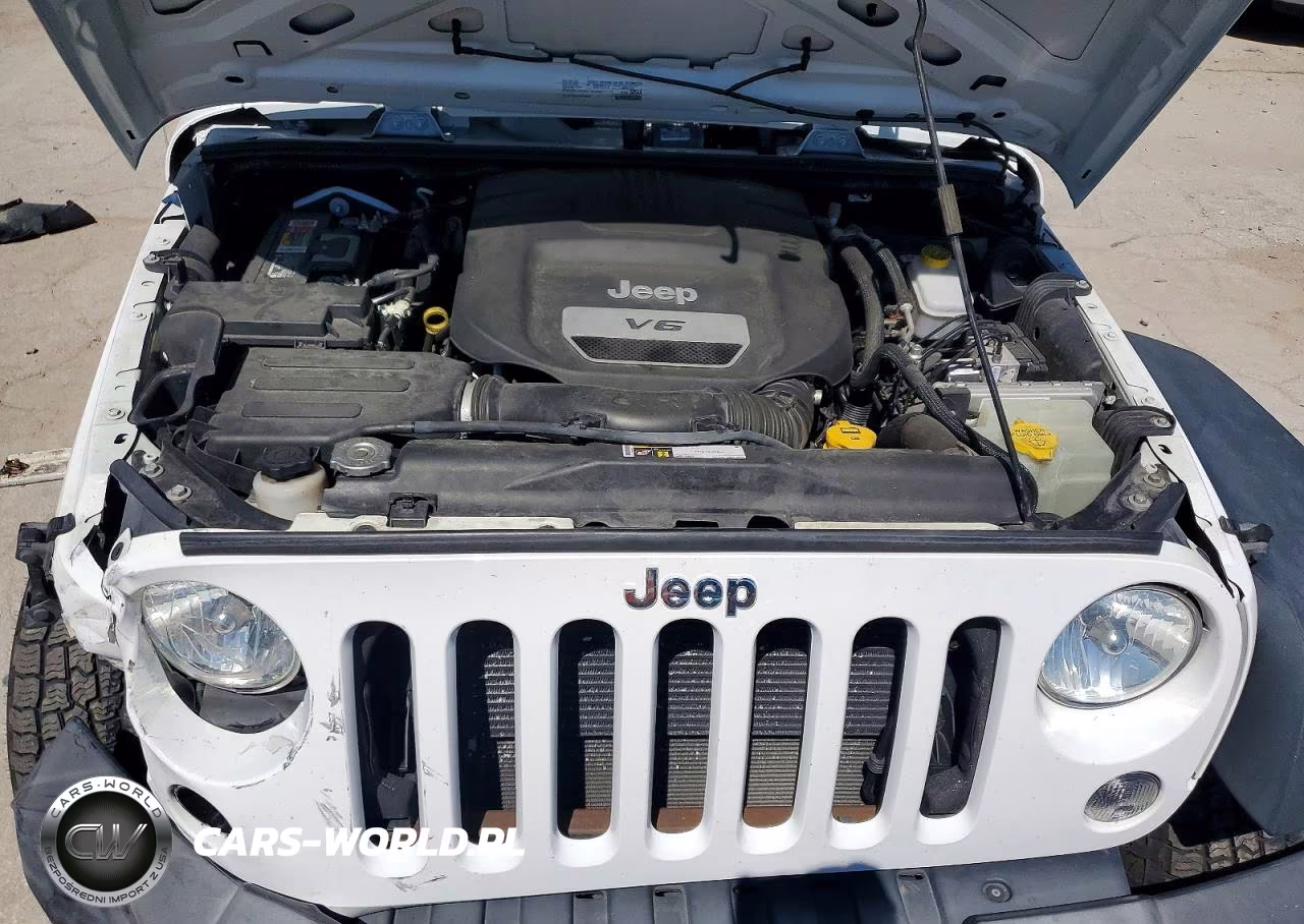 2016 Jeep Wrangler Unlimited Sport VIN:1C4BJWDG3GL170989 - 11