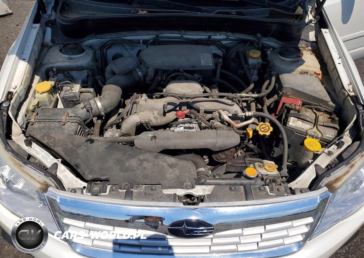 2010 Subaru Forester 2.5X Premium VIN:JF2SH6CC5AH700904 - 12
