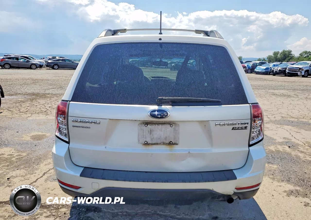 2010 Subaru Forester 2.5X Premium VIN:JF2SH6CC5AH700904 - 6
