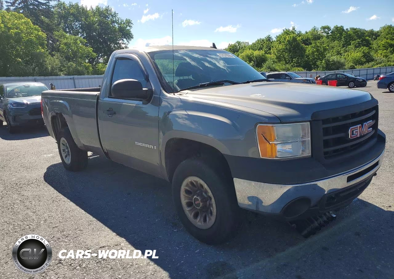 2009 GMC Sierra K1500 VIN:1GTEK14029Z135781 - 4