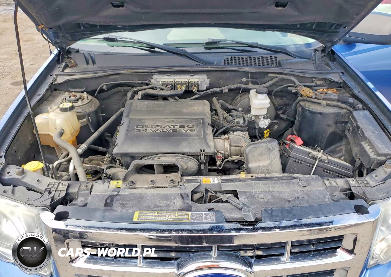2010 Ford Escape Xlt VIN:1FMCU9DG0AKB52472 - 12