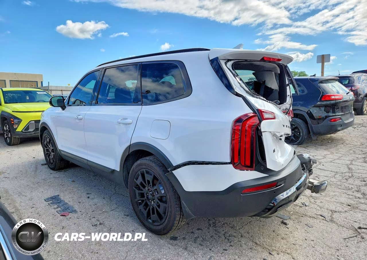 2021 Kia Telluride Sx VIN:5XYP5DHC9MG148878 - 2