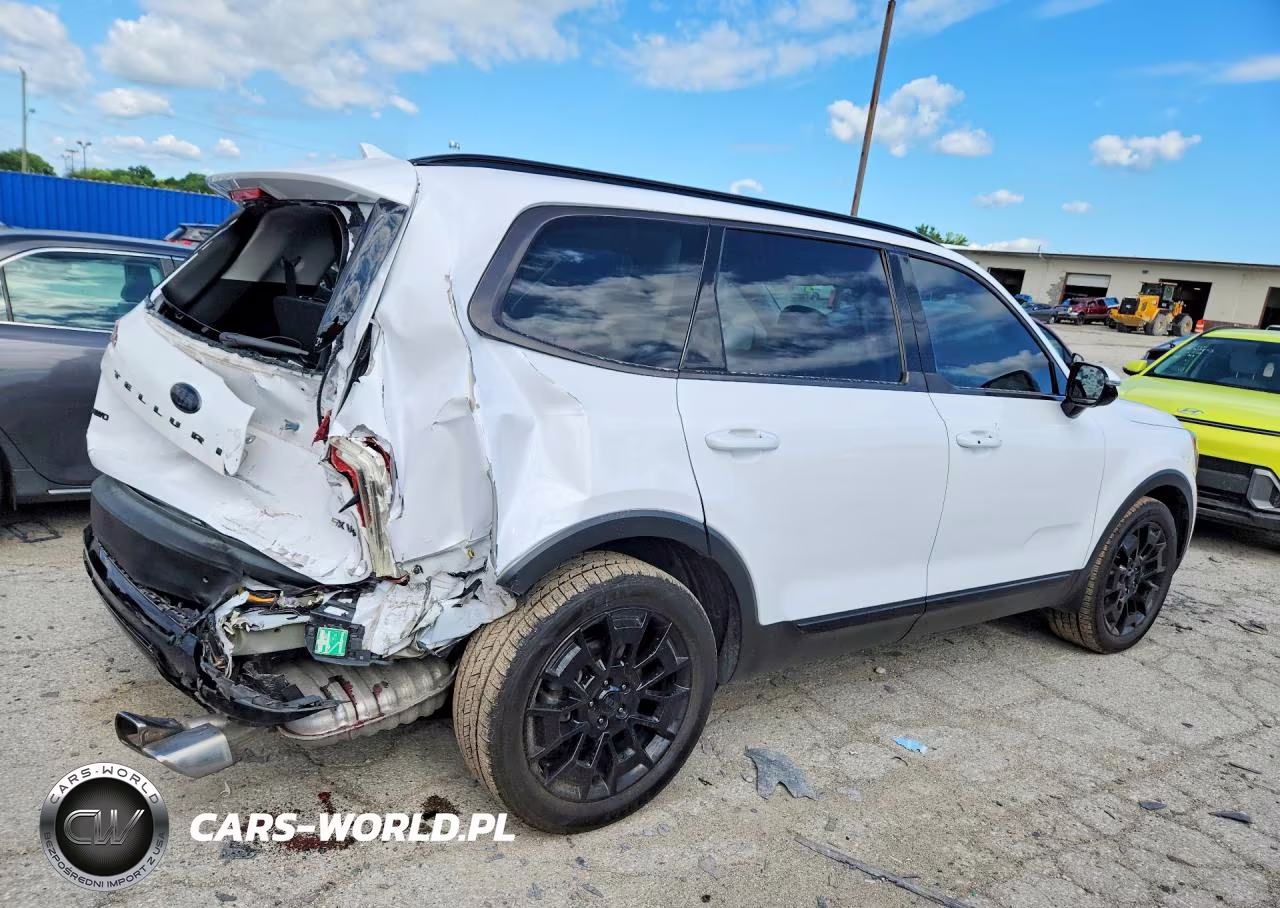 2021 Kia Telluride Sx VIN:5XYP5DHC9MG148878 - 3