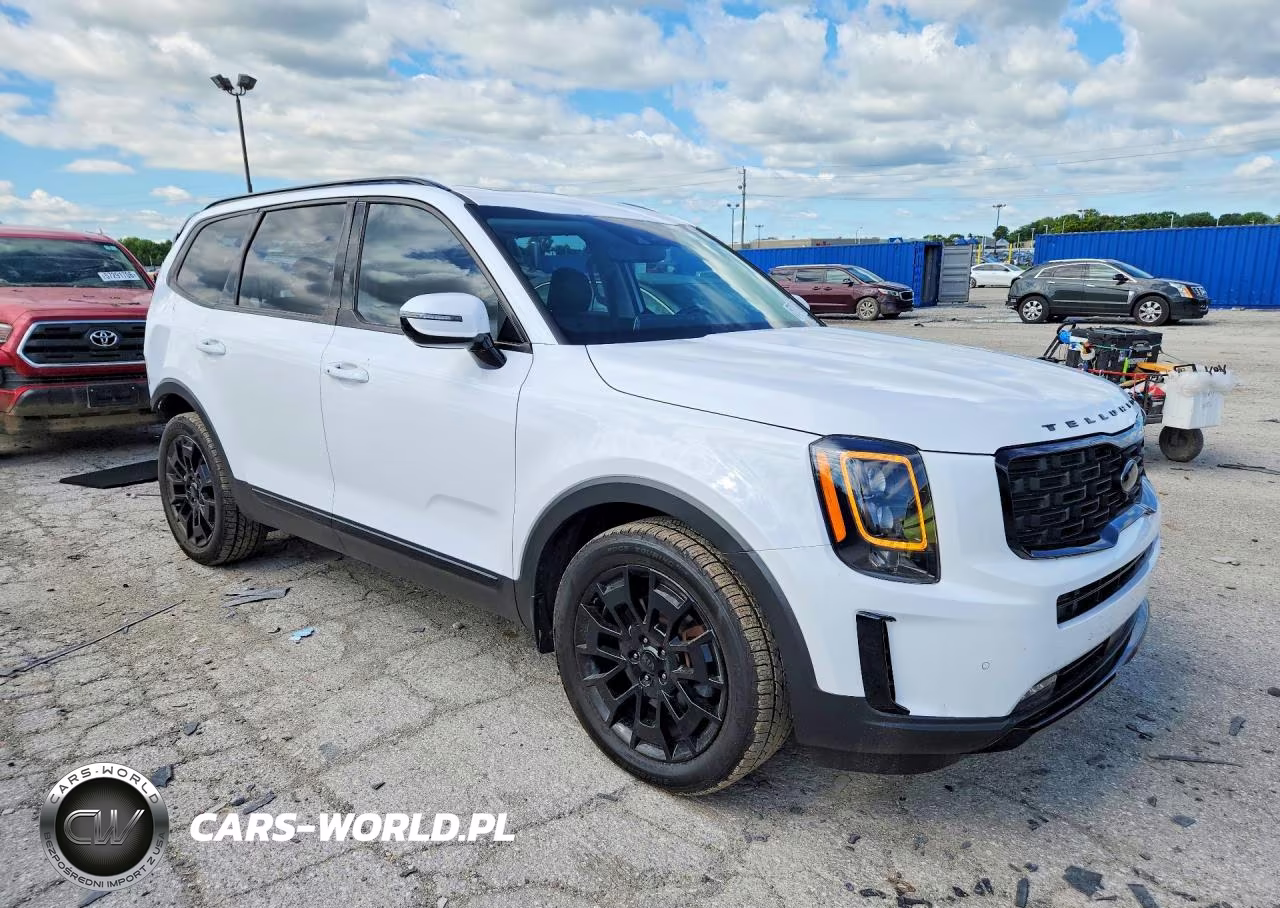2021 Kia Telluride Sx VIN:5XYP5DHC9MG148878 - 4