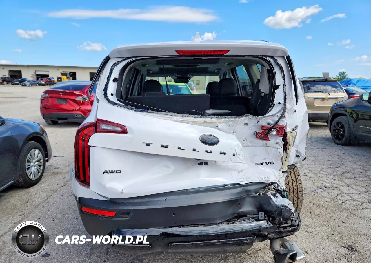 2021 Kia Telluride Sx VIN:5XYP5DHC9MG148878 - 6