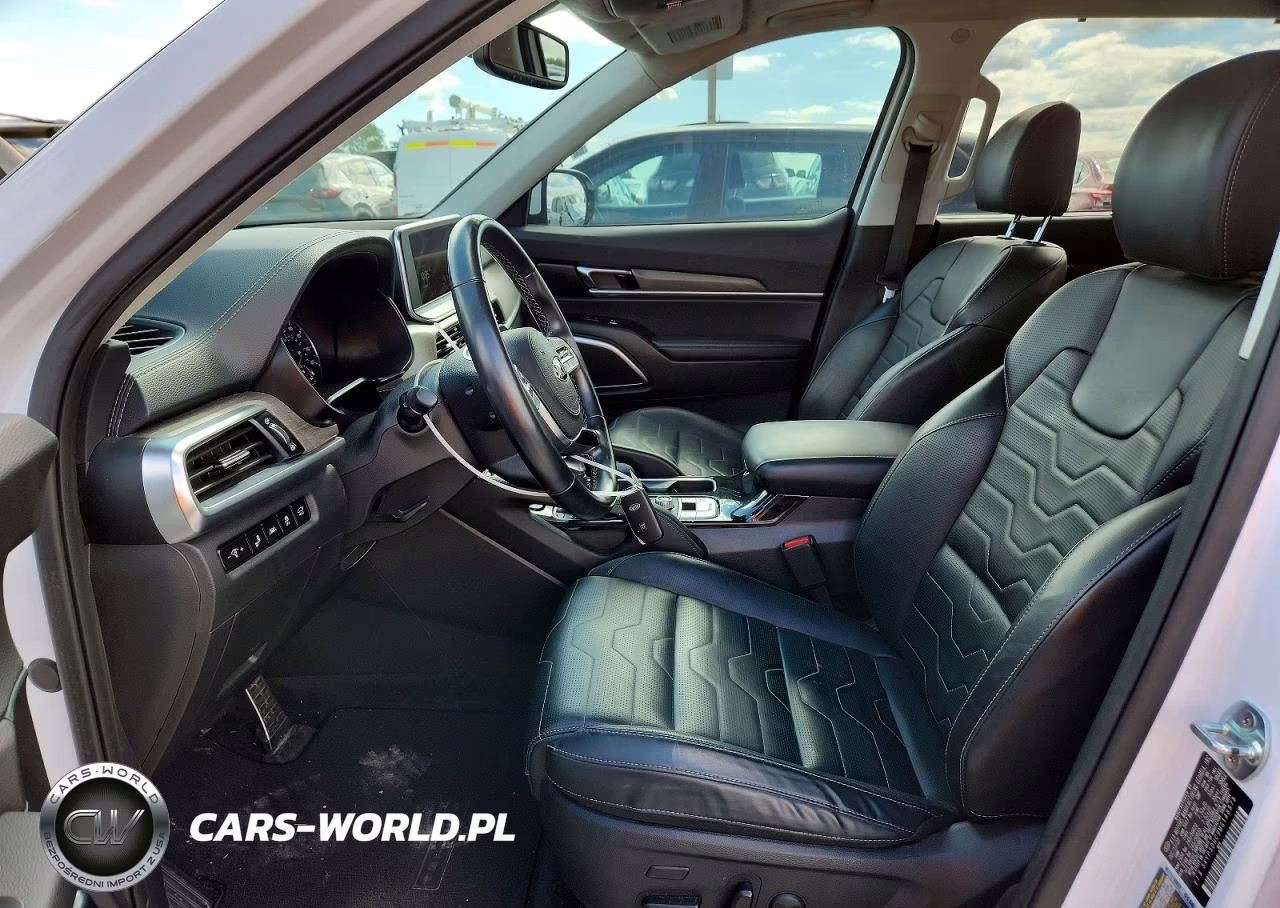 2021 Kia Telluride Sx VIN:5XYP5DHC9MG148878 - 7