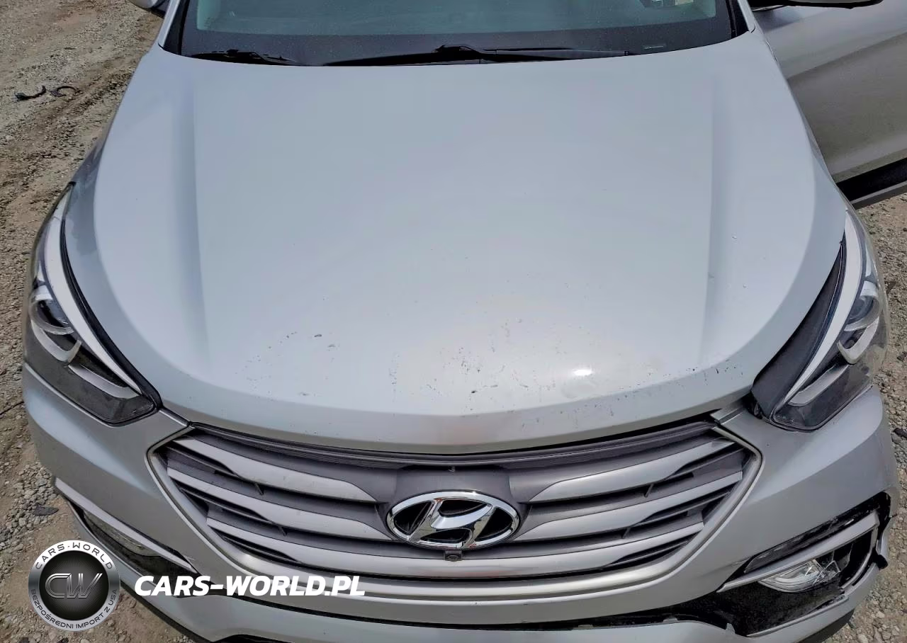 2017 Hyundai Santa Fe Sport 2.0T Ultimate VIN:5XYZW4LA6HG442014 - 12