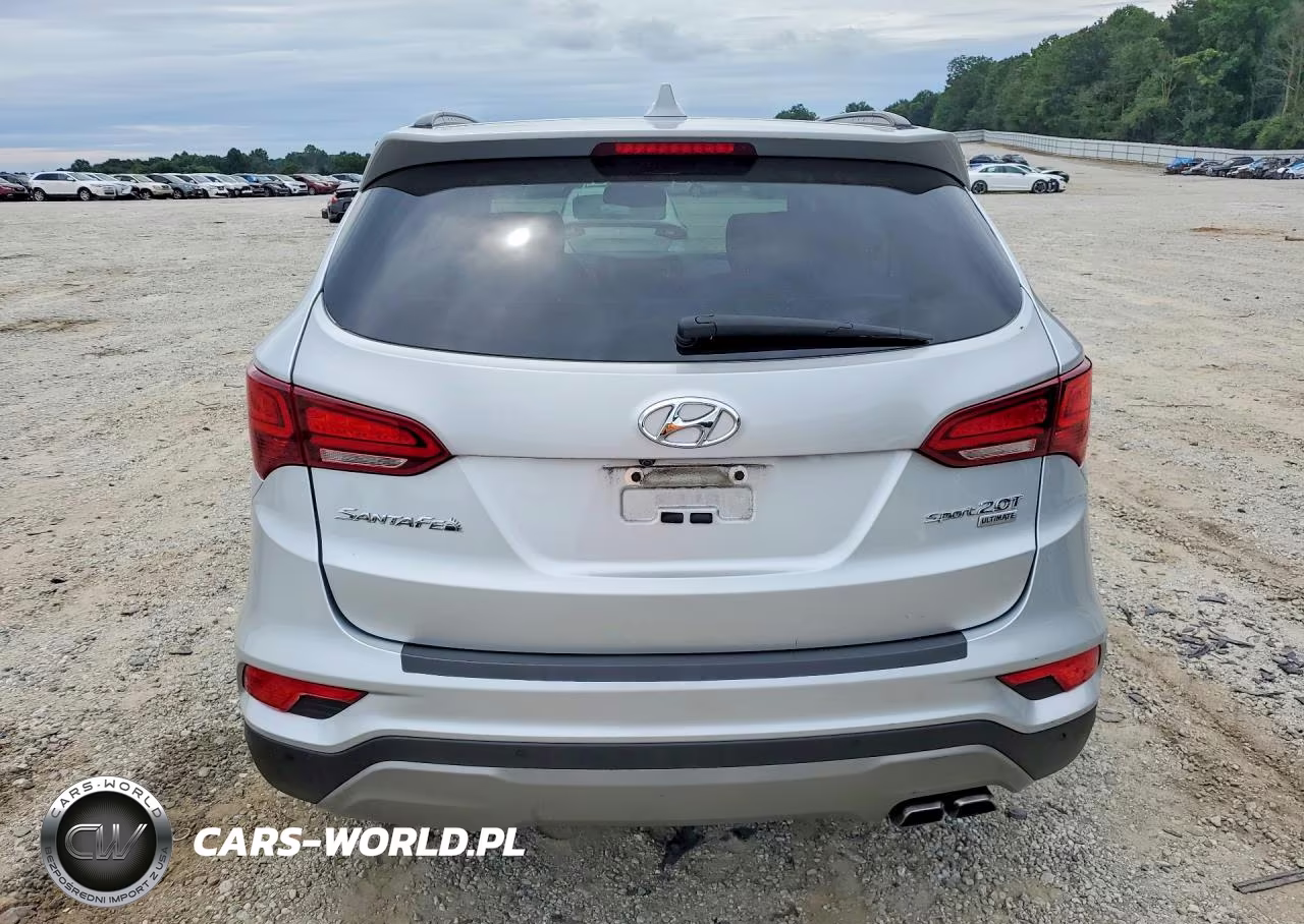2017 Hyundai Santa Fe Sport 2.0T Ultimate VIN:5XYZW4LA6HG442014 - 6