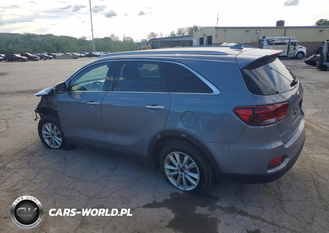 2019 Kia Sorento Lx VIN:5XYPGDA39KG603990 - 2