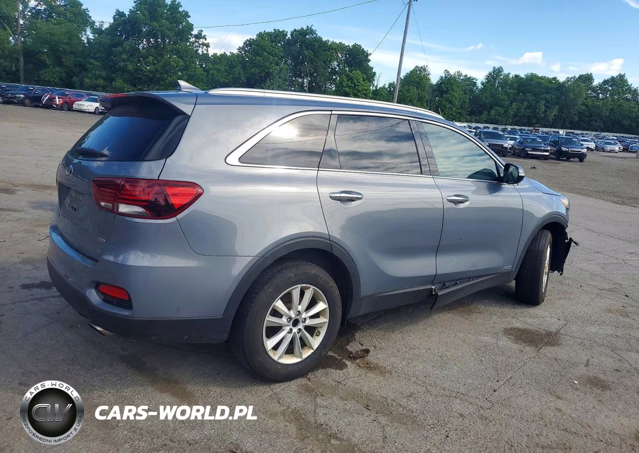 2019 Kia Sorento Lx VIN:5XYPGDA39KG603990 - 3