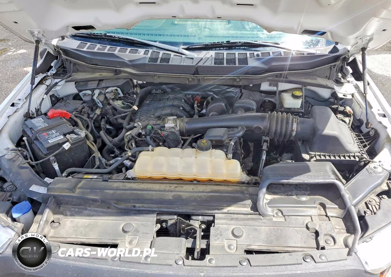 2022 Ford F150 VIN:1FTMF1CB1NKE77213 - 11