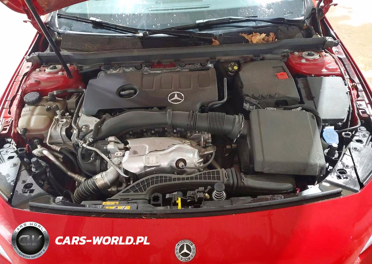 2019 Mercedes-Benz A 220 VIN:WDD3G4EB6KW027977 - 11