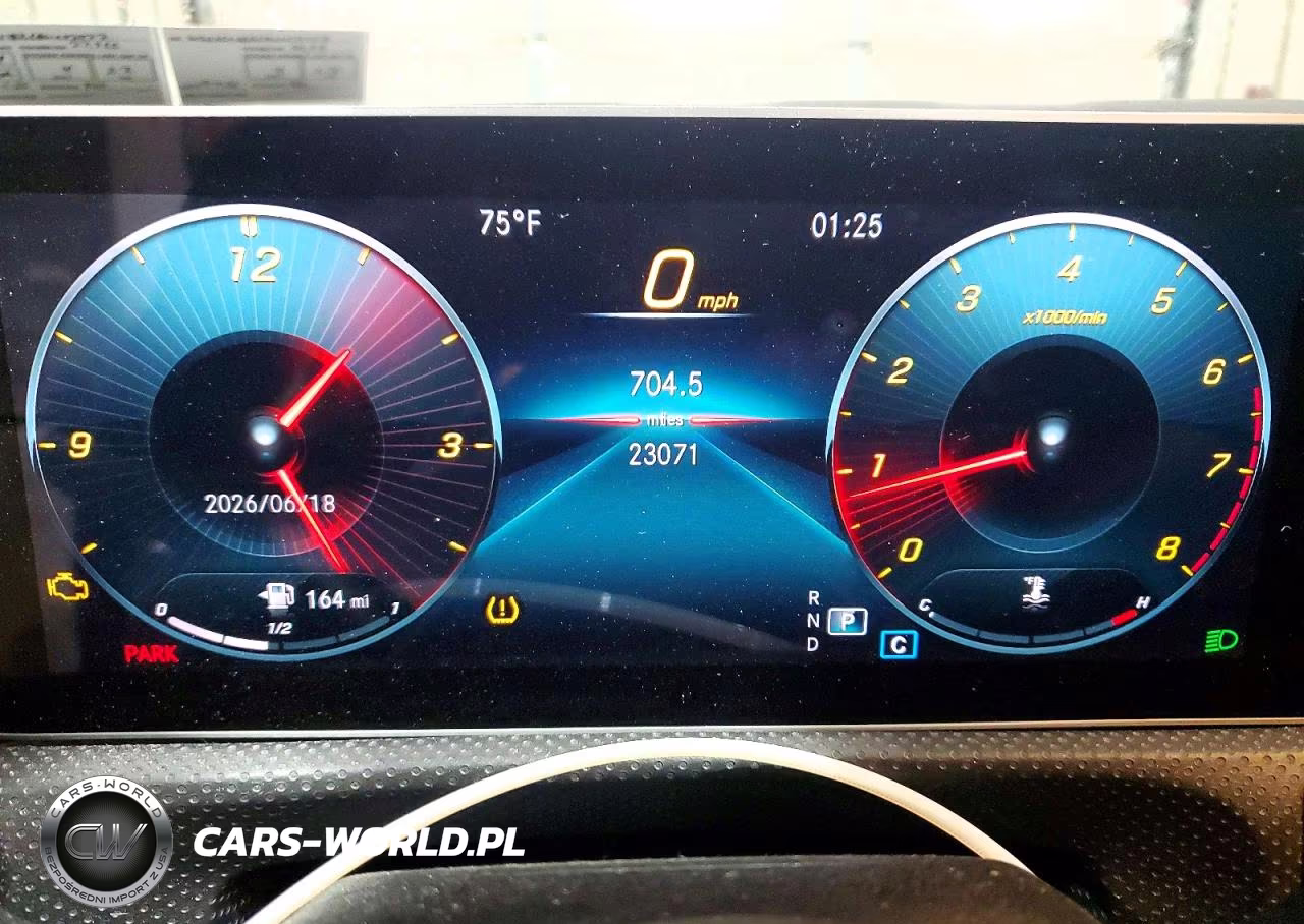 2019 Mercedes-Benz A 220 VIN:WDD3G4EB6KW027977 - 9
