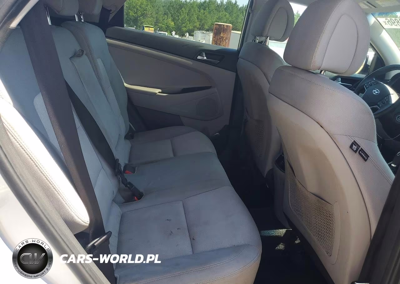 2017 Hyundai Tucson Eco VIN:KM8J33A26HU432864 - 10