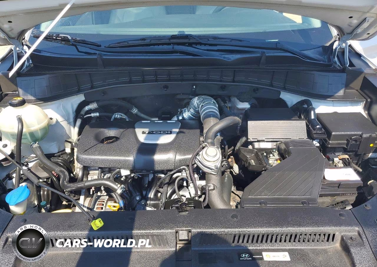 2017 Hyundai Tucson Eco VIN:KM8J33A26HU432864 - 11