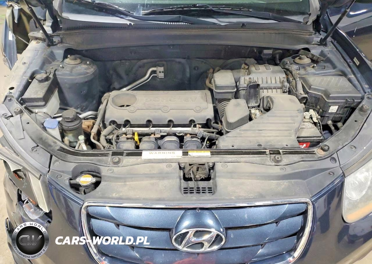 2010 Hyundai Santa Fe Gls VIN:5NMSG3AB2AH398092 - 12