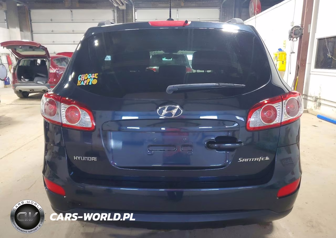 2010 Hyundai Santa Fe Gls VIN:5NMSG3AB2AH398092 - 6