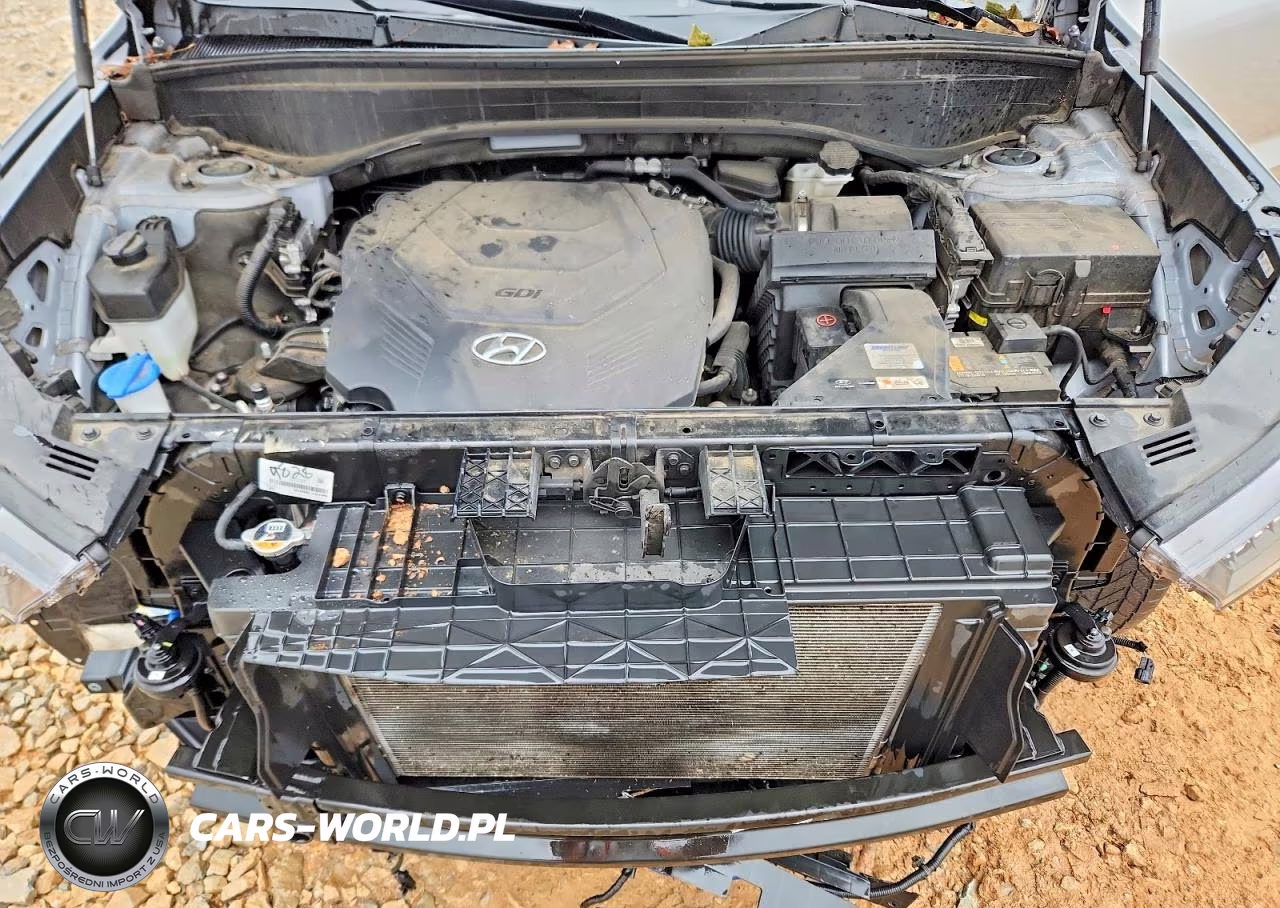 2021 Hyundai Palisade Sel VIN:KM8R44HE1MU292285 - 12