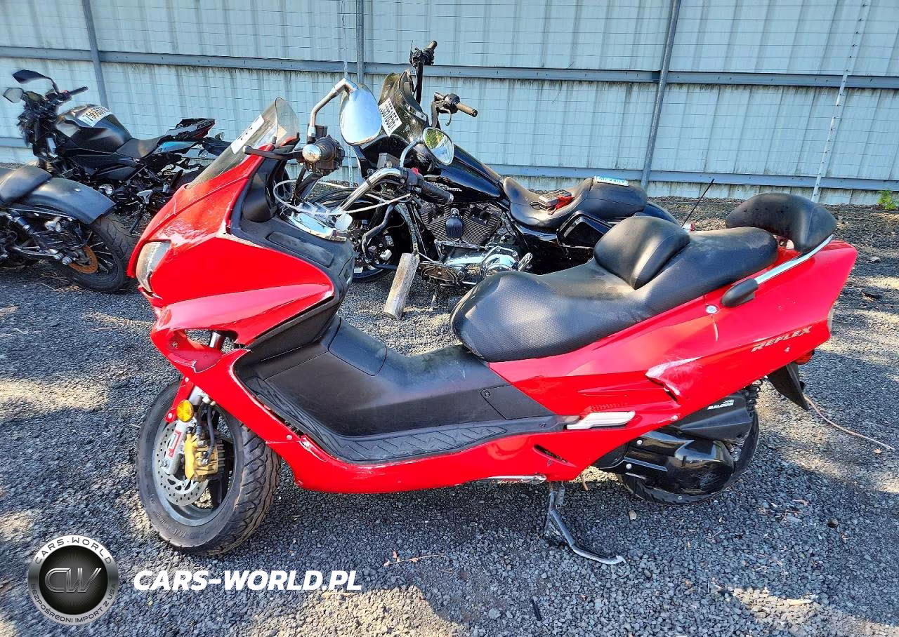 2007 Honda Nss250 S VIN:JH2MF06767K300247 - 3