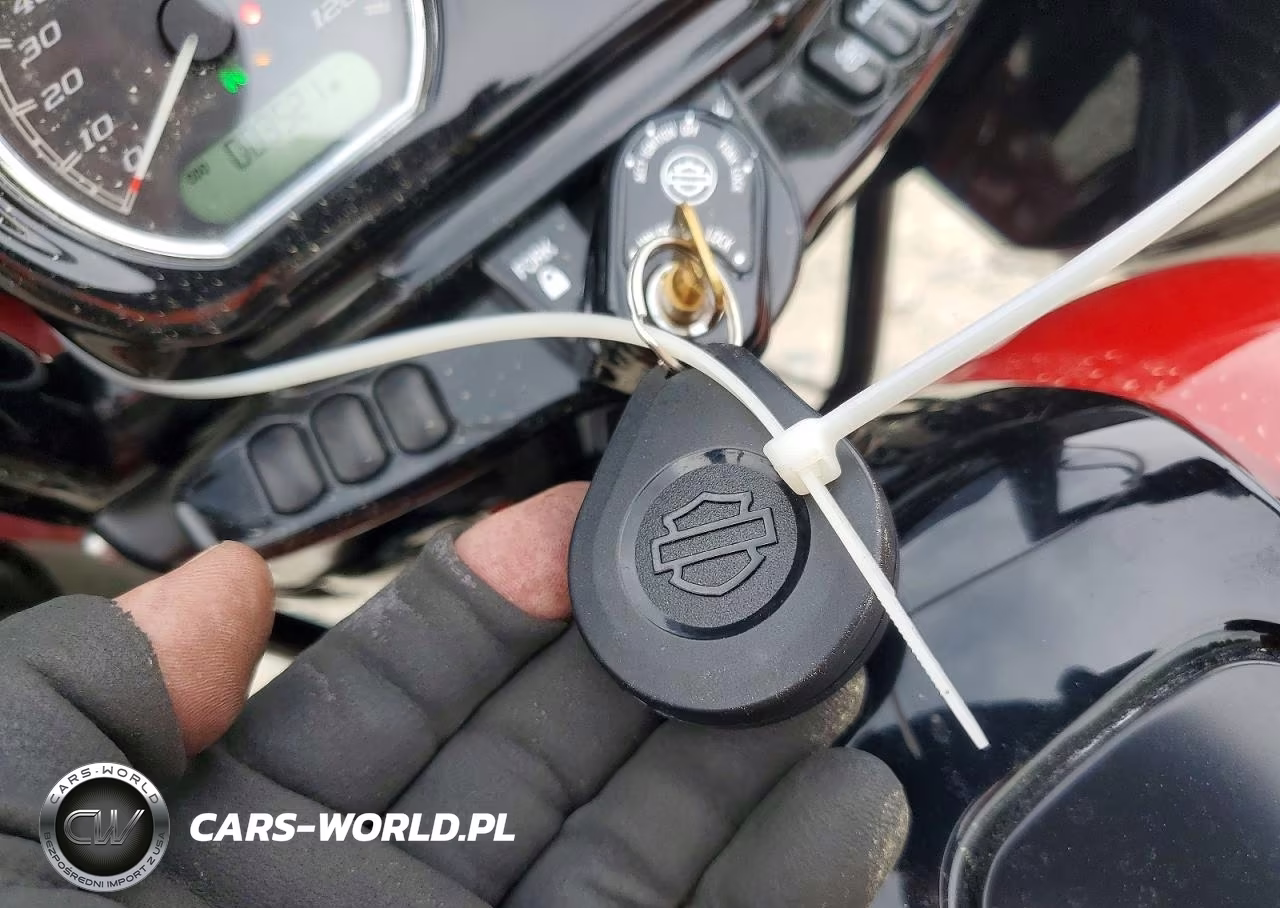 2022 Harley-Davidson Fltrxs VIN:1HD1KTP16NB673108 - 8