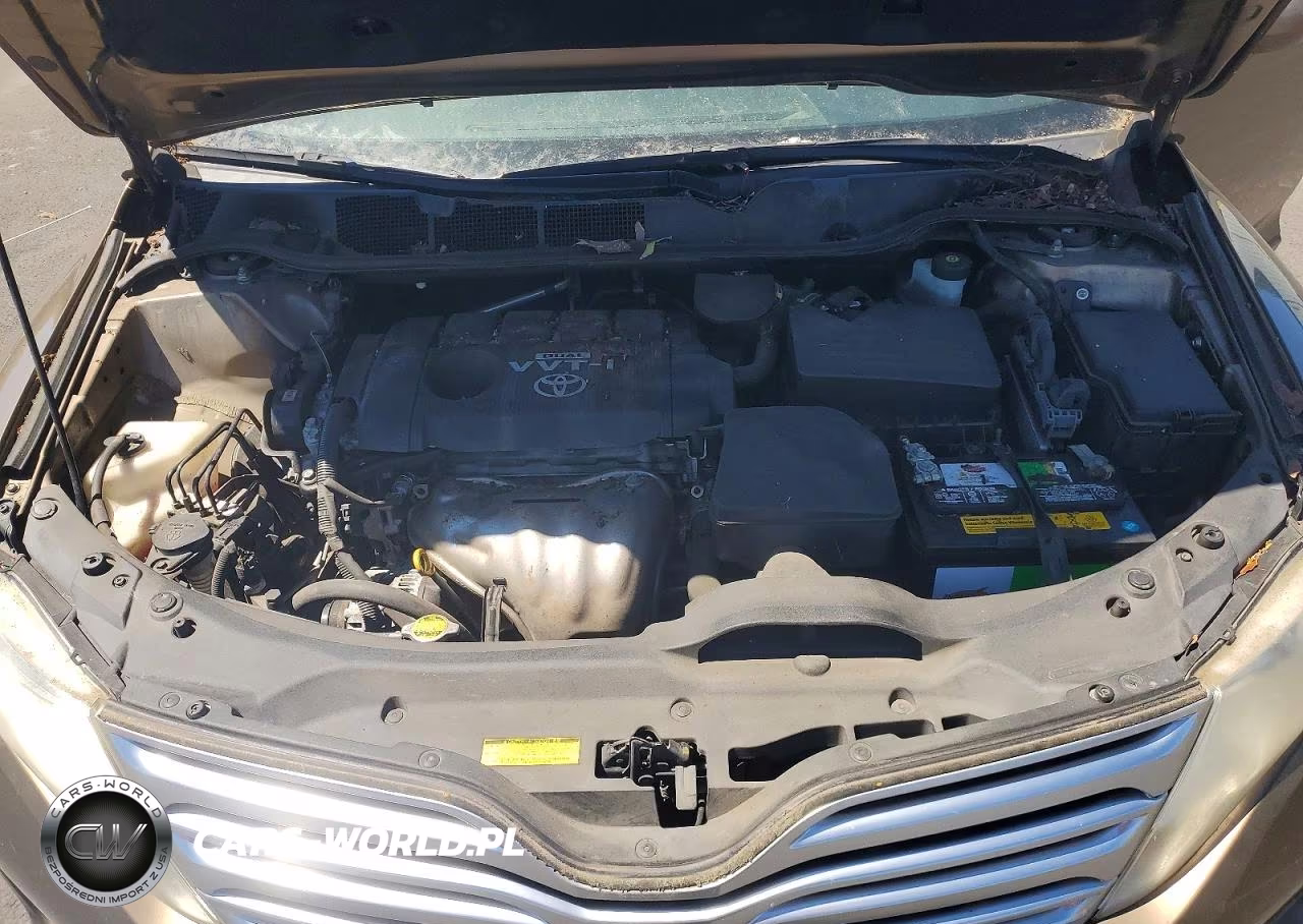 2009 Toyota Venza Fwd 4Cyl VIN:4T3ZE11A69U012183 - 11