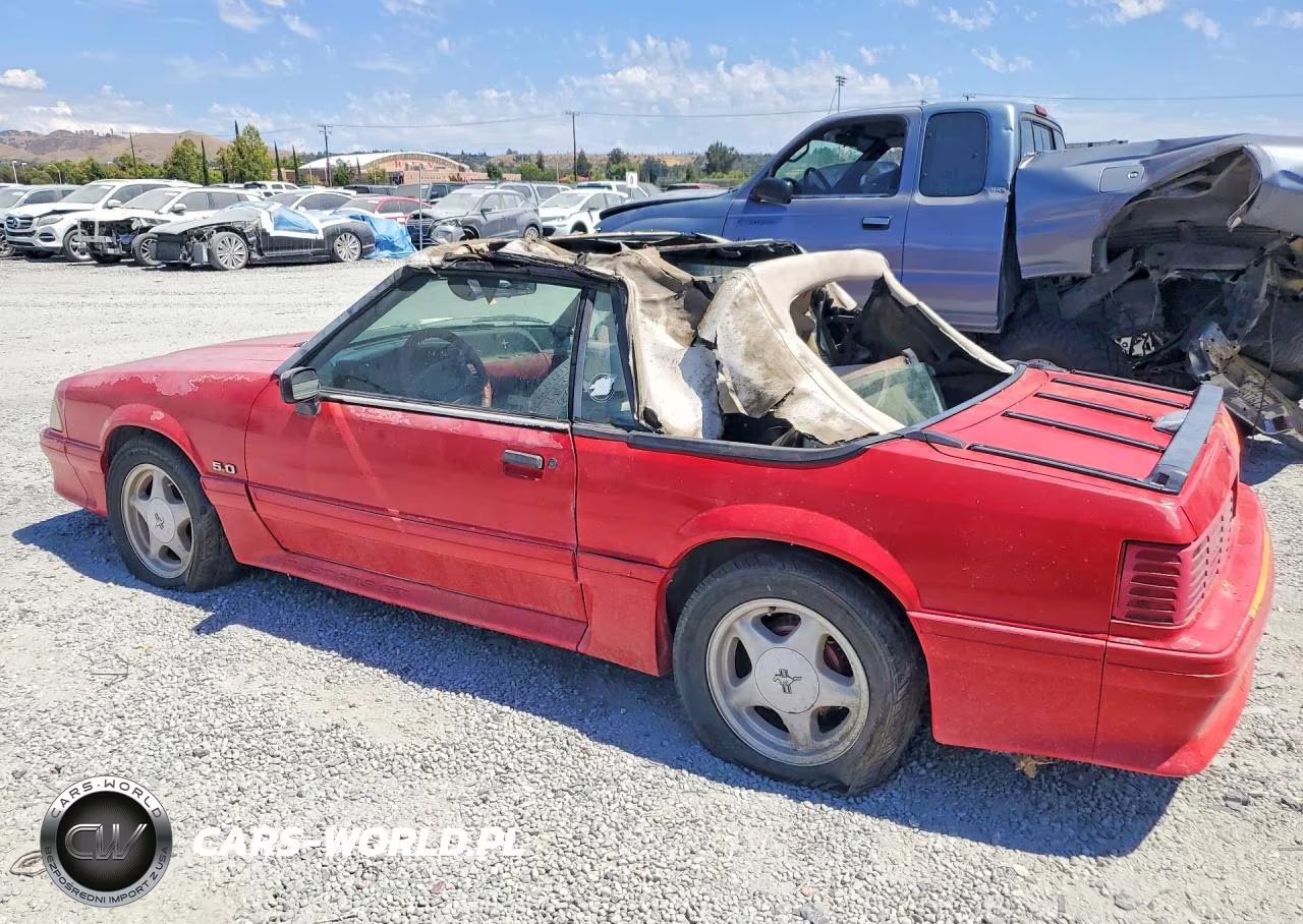 1991 Ford Mustang Gt VIN:1FACP45E5MF131616 - 2