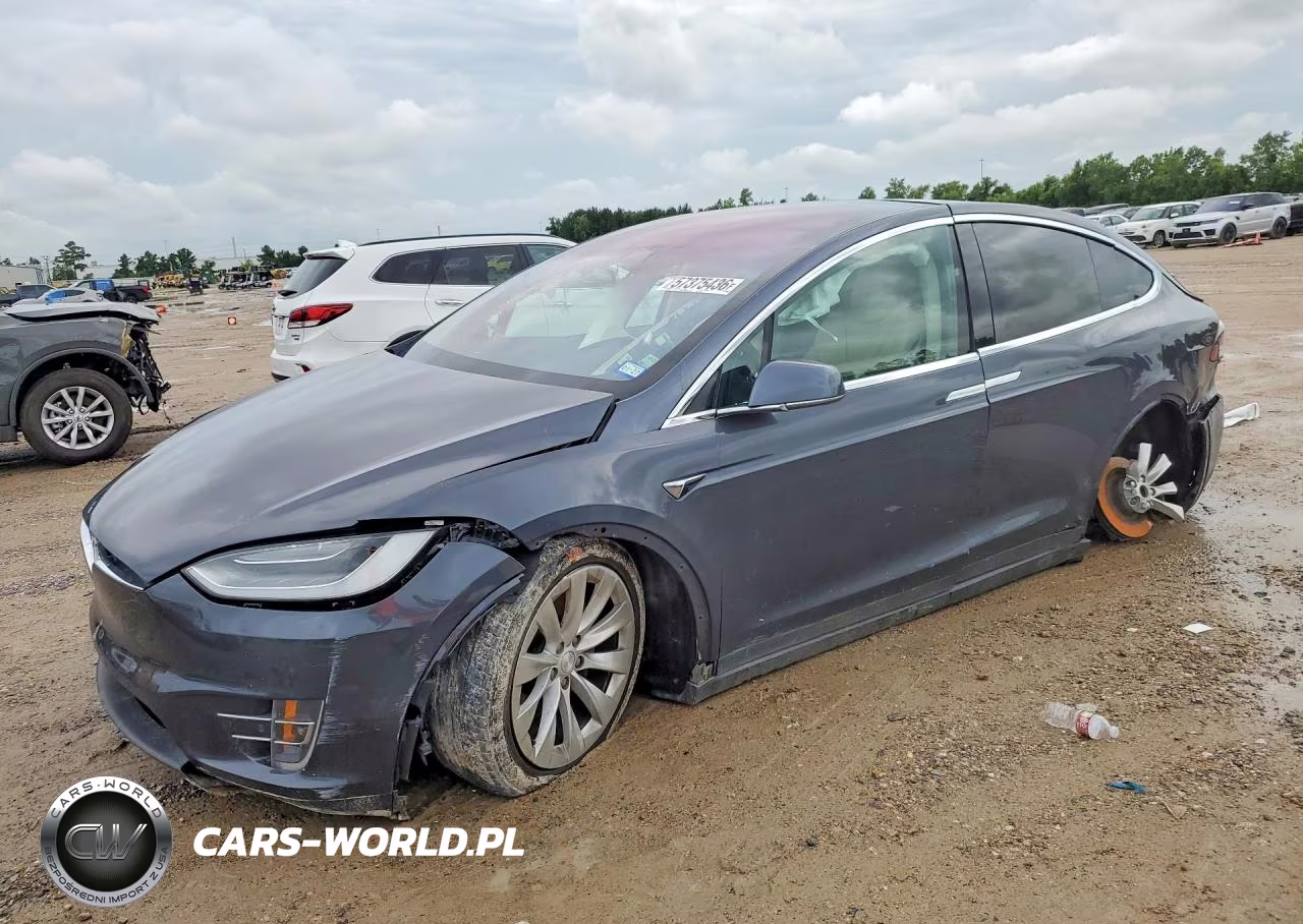 2019 Tesla Model X