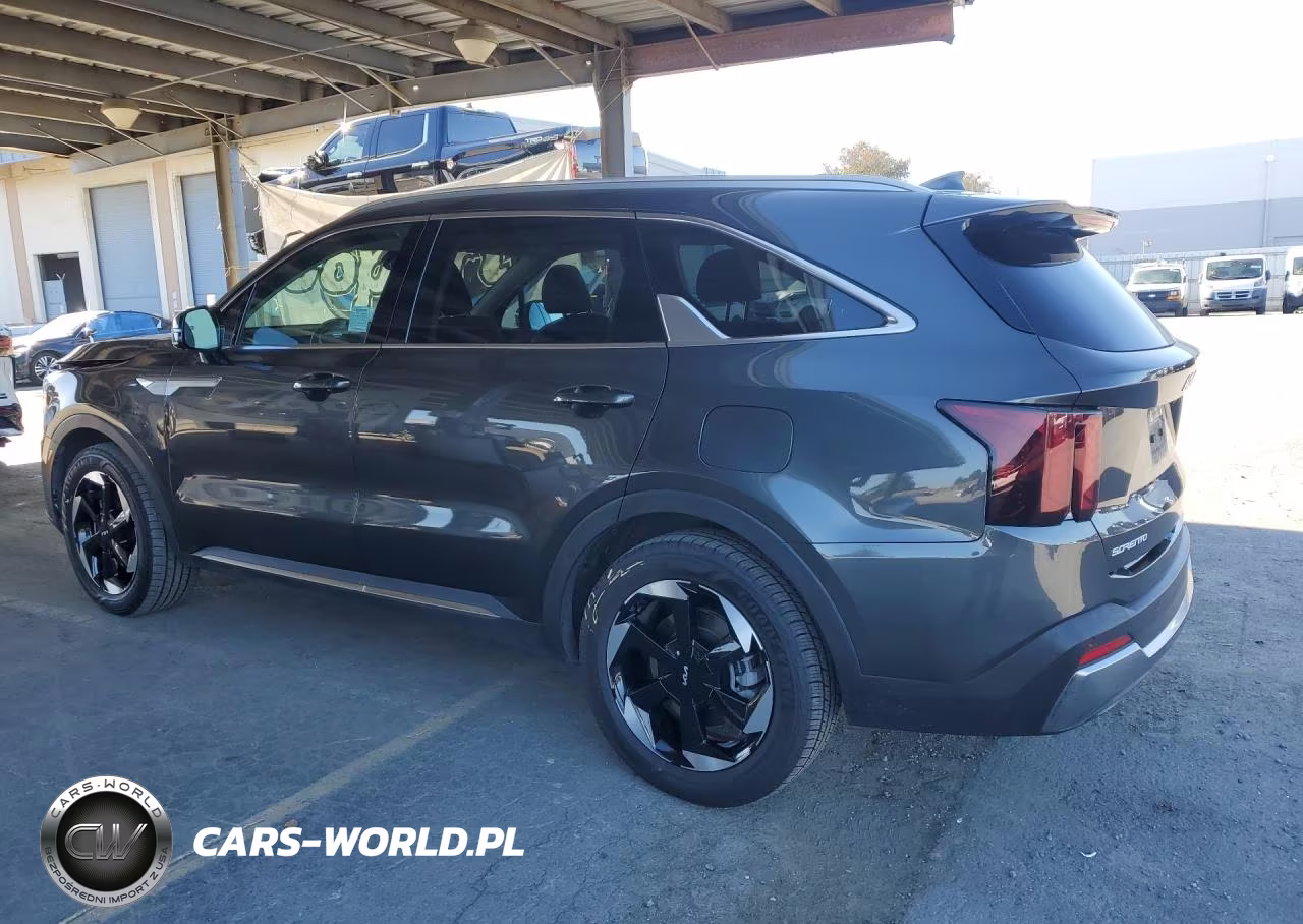2025 Kia Sorento Ex VIN:KNDRHDJG1S5423713 - 2