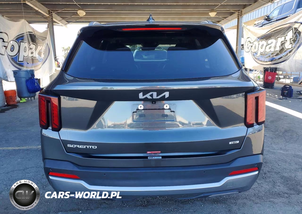 2025 Kia Sorento Ex VIN:KNDRHDJG1S5423713 - 6