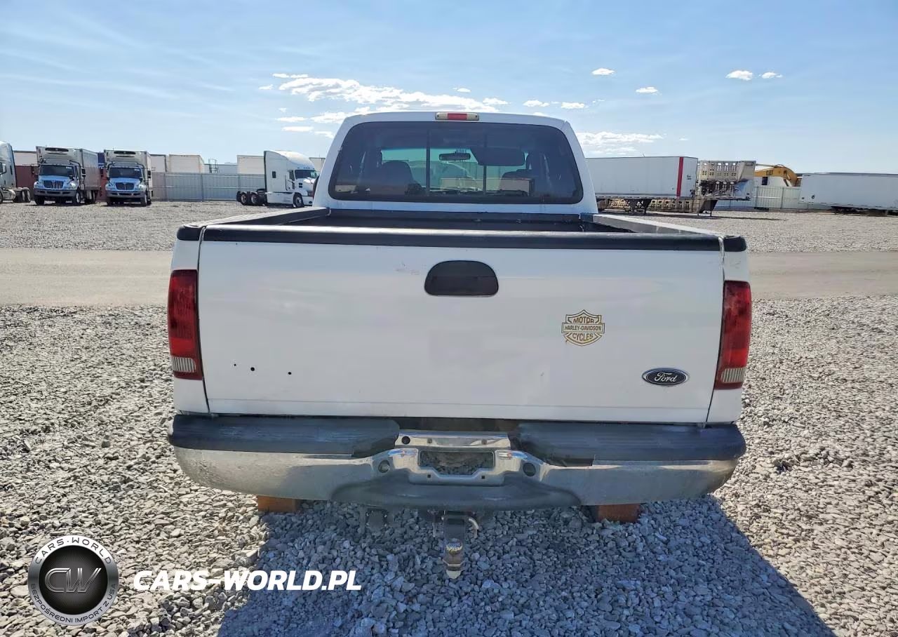 2004 Ford F350 Srw Super Duty VIN:1FTSW31P24ED06999 - 6