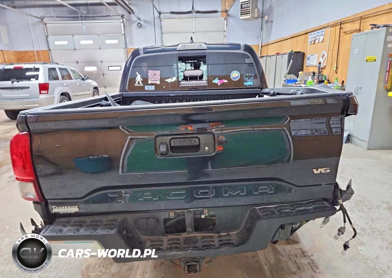 2019 Toyota Tacoma Trd Off-Road VIN:3TMCZ5ANXKM206307 - 6