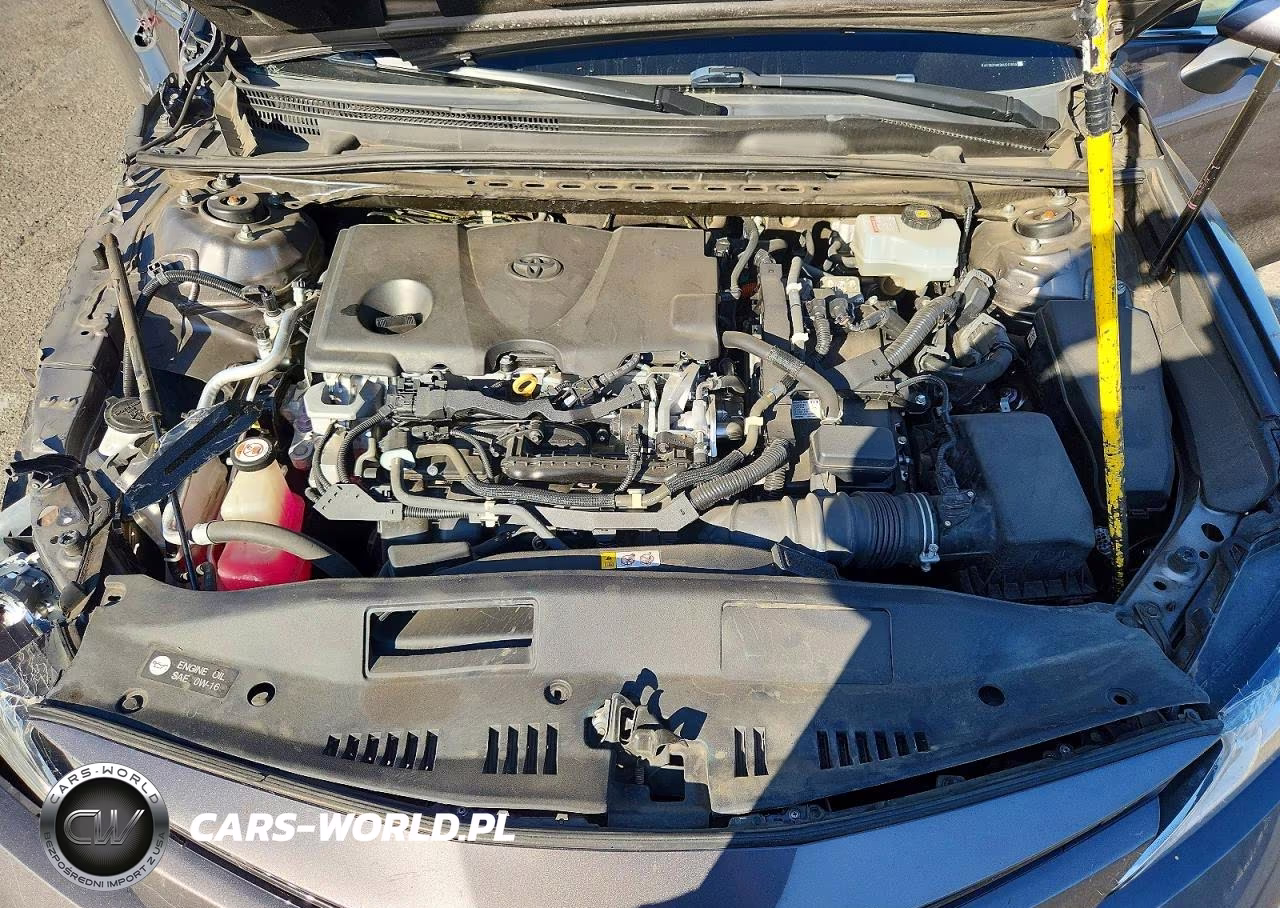 2019 Toyota Camry Le VIN:4T1B31HK3KU517859 - 11