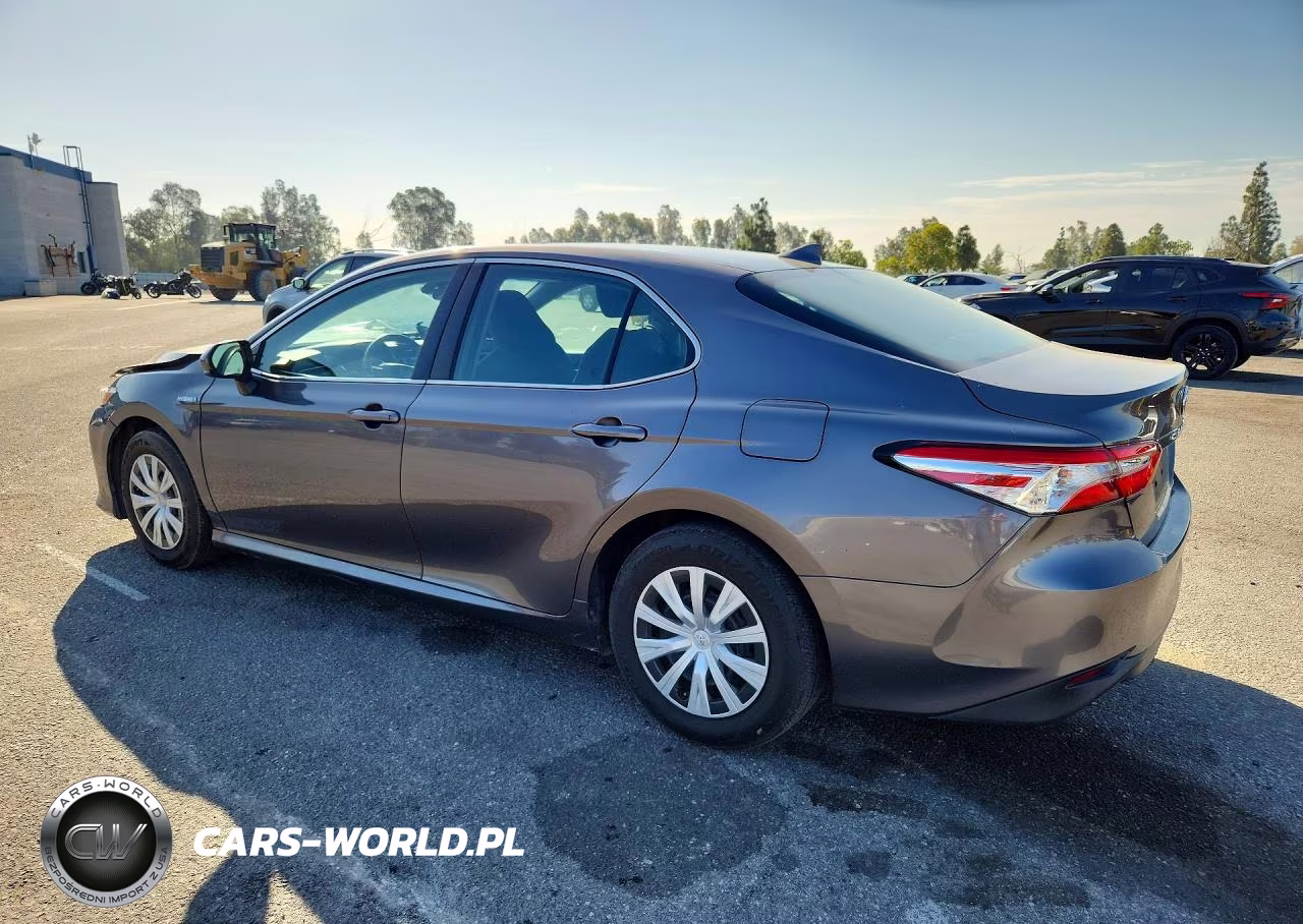 2019 Toyota Camry Le VIN:4T1B31HK3KU517859 - 2