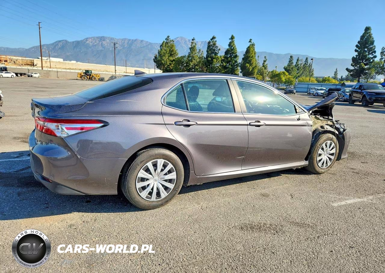 2019 Toyota Camry Le VIN:4T1B31HK3KU517859 - 3
