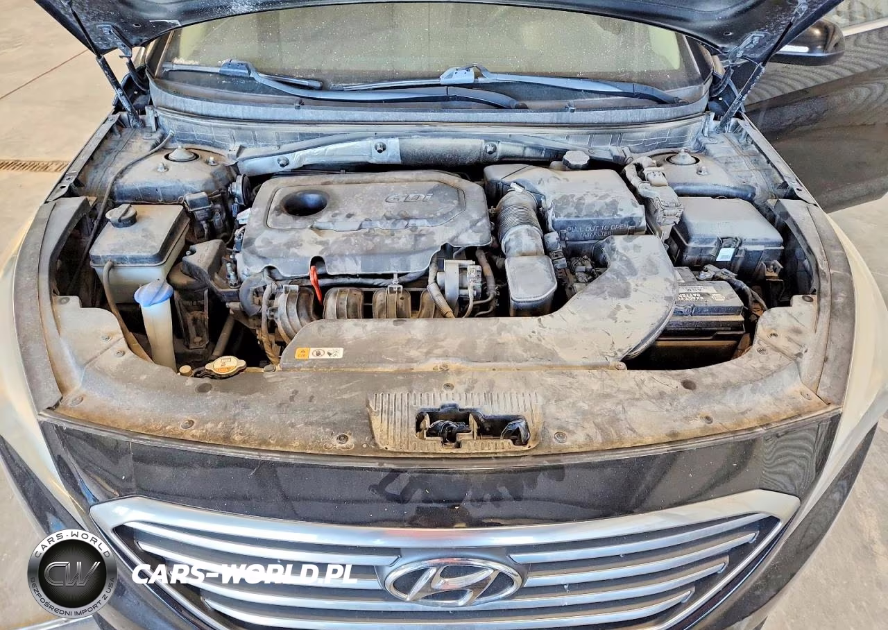 2016 Hyundai Sonata VIN:5NPE24AF9GH285188 - 11