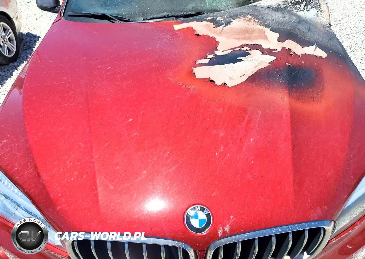 2017 BMW X6 Sdrive35I VIN:5UXKU0C34H0G68061 - 12