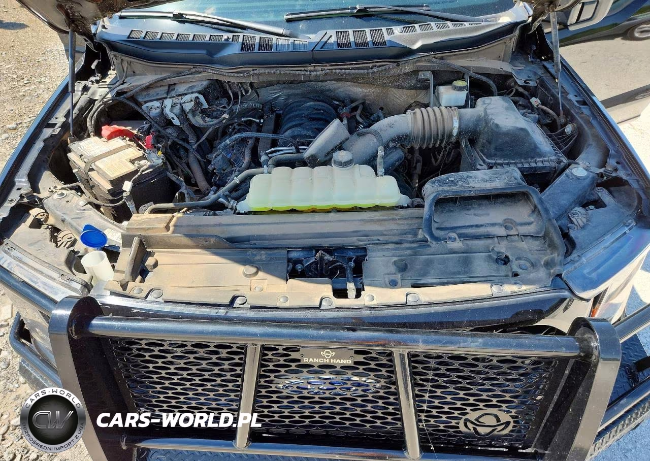 2023 Ford F150 Supercrew VIN:1FTFW1E55PKF61988 - 11
