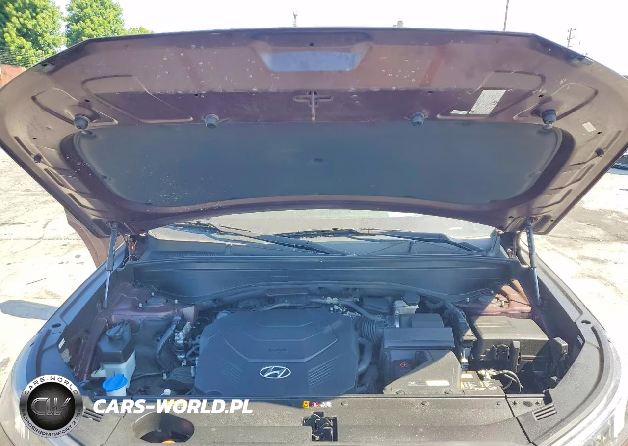 2020 Hyundai Palisade Limited VIN:KM8R54HE2LU045014 - 11