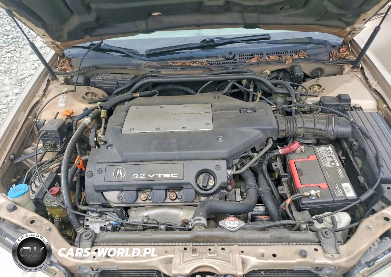 2002 Acura 3.2Tl VIN:19UUA56622A010647 - 11