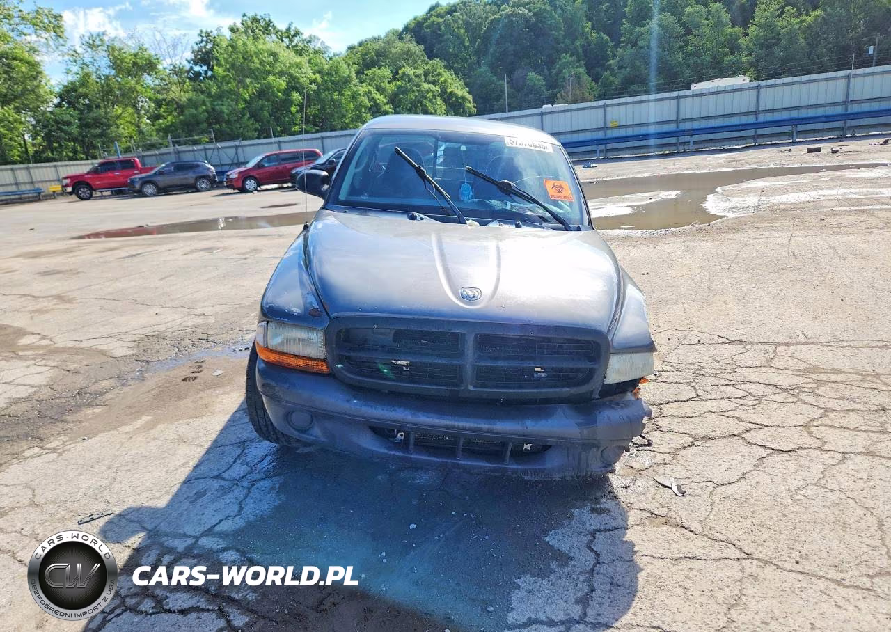 2003 Dodge Dakota Sxt VIN:1D7FL16X63S251700 - 5