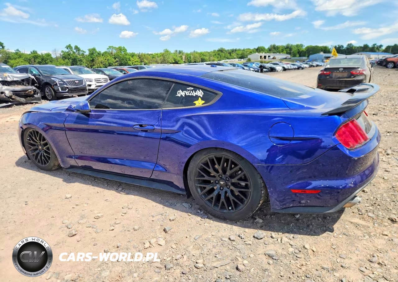 2016 Ford Mustang VIN:1FA6P8TH4G5301900 - 2