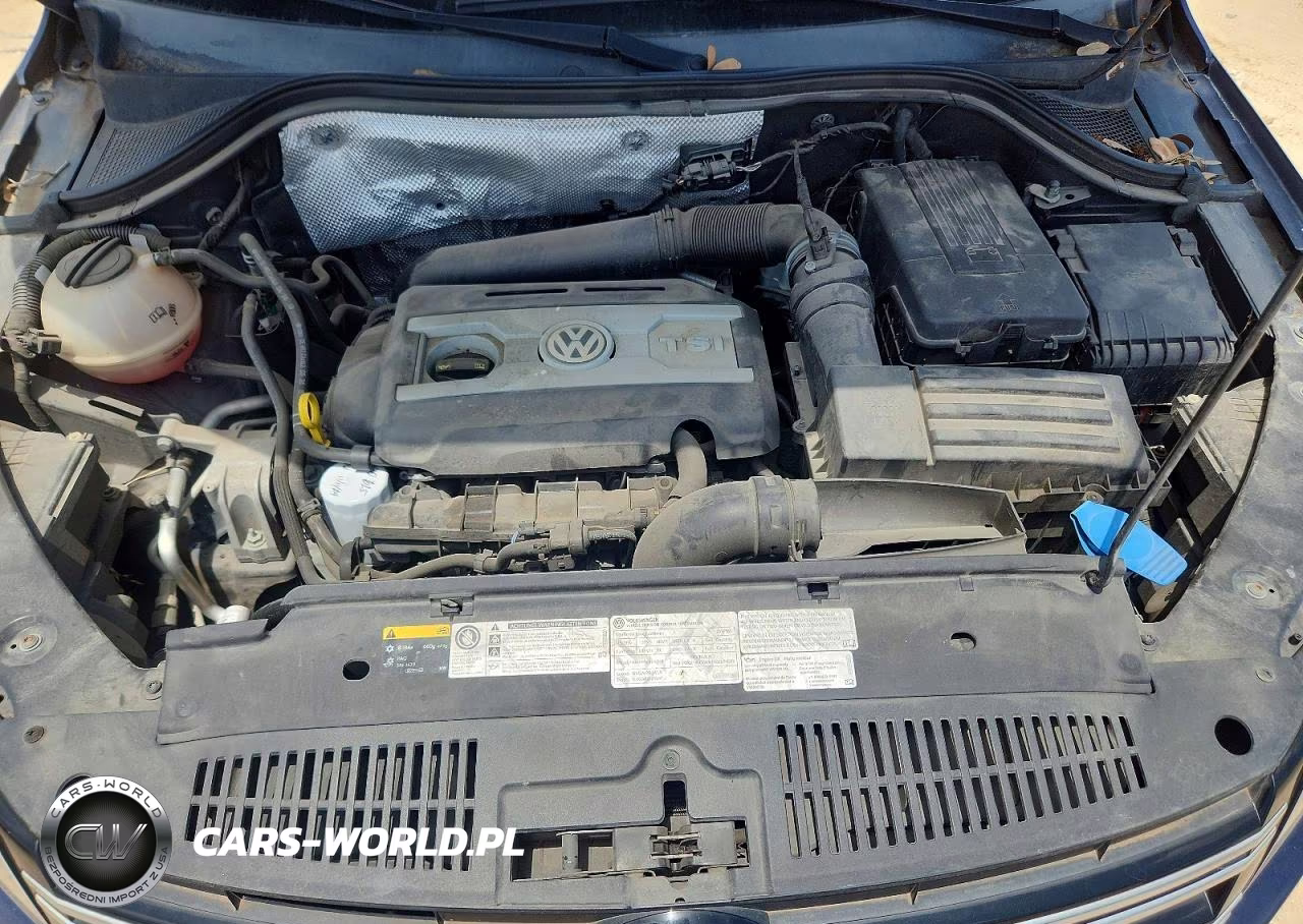 2016 Volkswagen Tiguan S VIN:WVGBV7AX0GW544029 - 12