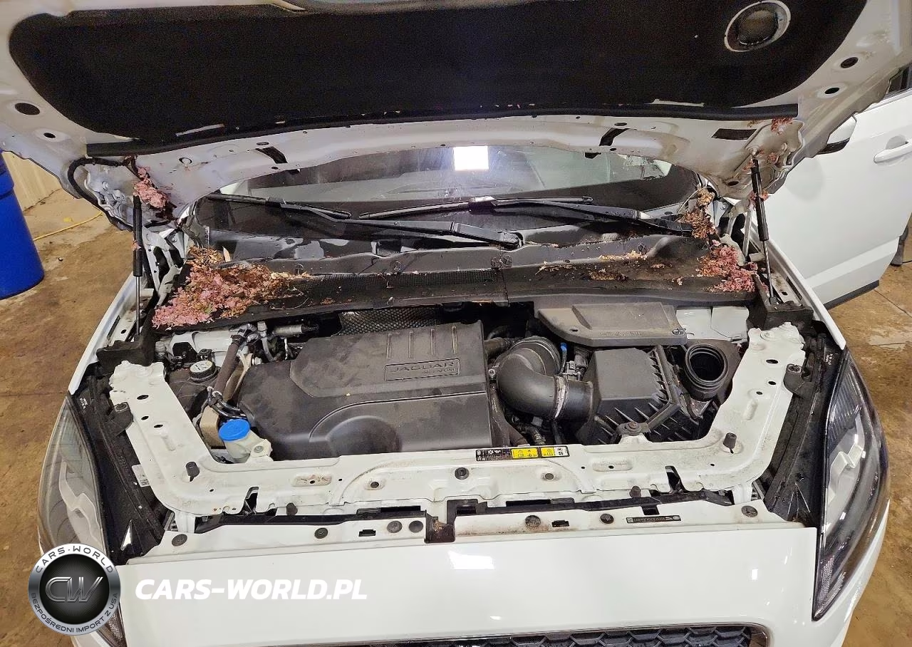 2019 Jaguar E-Pace Se VIN:SADFP2FX5K1Z45324 - 12