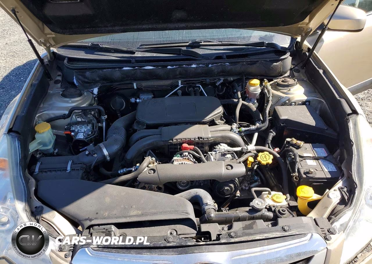 2010 Subaru Outback 2.5I Premium VIN:4S4BRBEC3A3347654 - 12