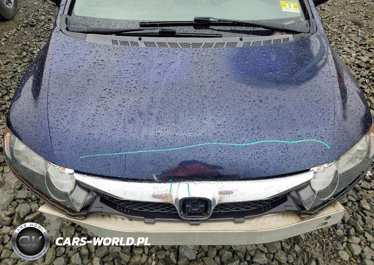 2010 Honda Civic Lx VIN:2HGFA1F5XAH502111 - 11