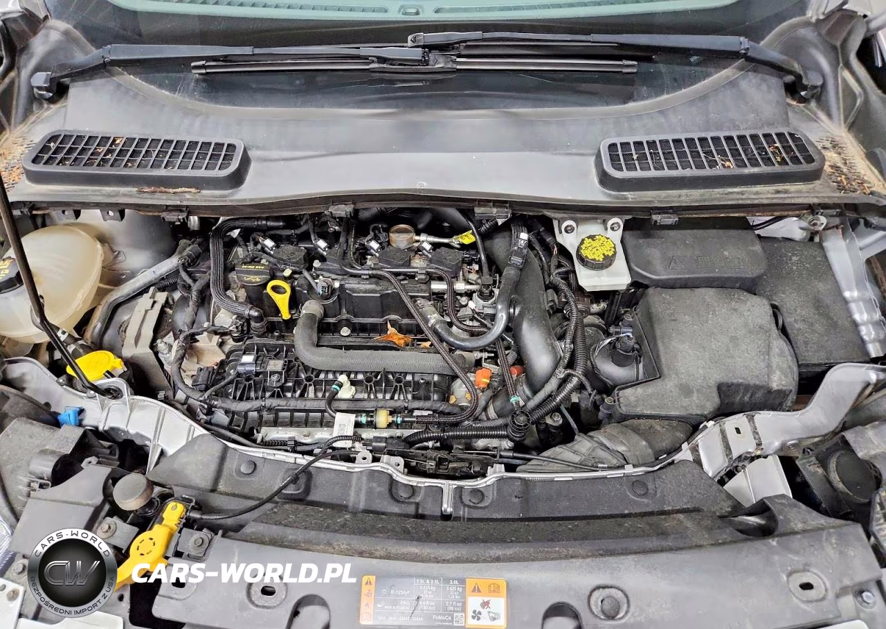 2019 Ford Escape Se VIN:1FMCU9GD5KUB81702 - 12