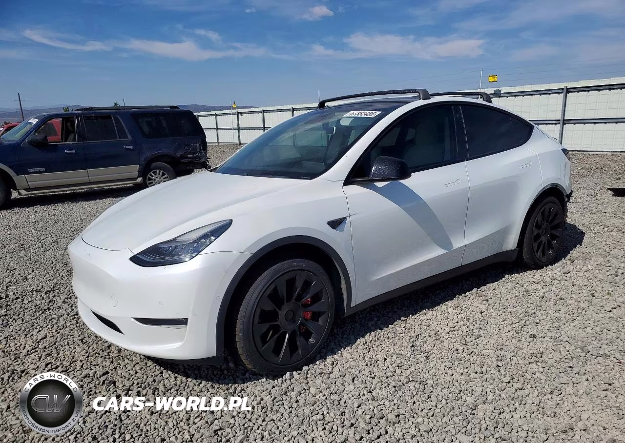 2020 Tesla Model Y