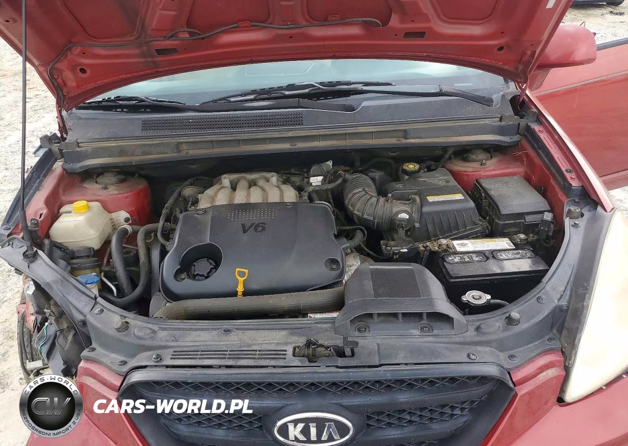 2008 Kia Rondo Lx VIN:KNAFG526587149704 - 11